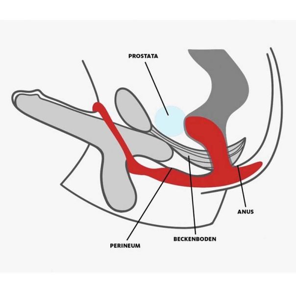 Fun Factory BOOTIE RING - FF000854DR01