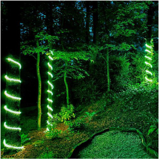 Svetleæe LED crevo, 36LED/m, 13mm, zelena SVC-2L36D/G cena na m/pakovanje 20m - EP3225448