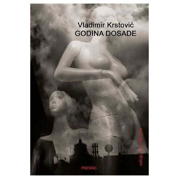 Godina dosade - 9788663415805