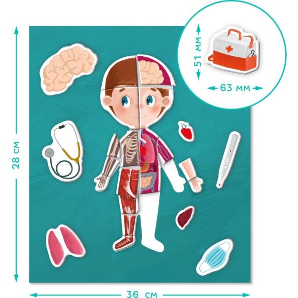 DODO Igra sa magnetima - Ljudsko telo - 104-200220