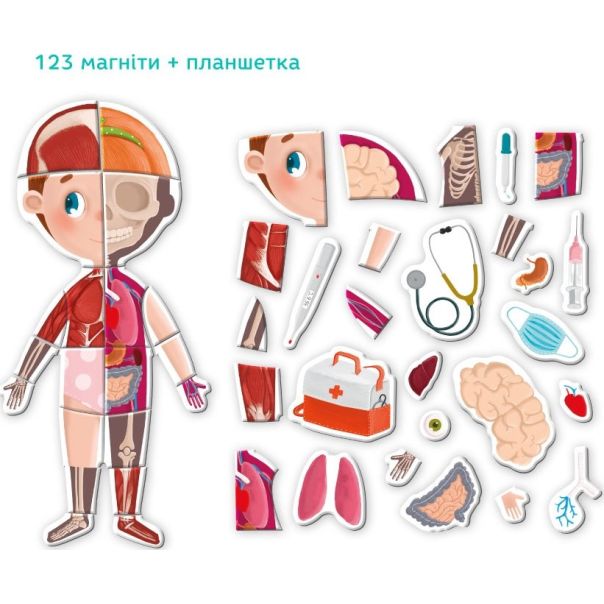 DODO Igra sa magnetima - Ljudsko telo - 104-200220