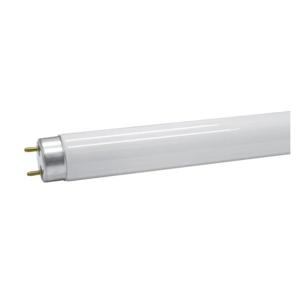 PROSTO UV neon cev 10W za zamku za insekte IKC-T8-10 - EP3142327