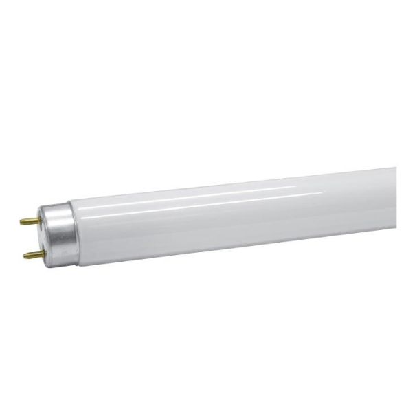 PROSTO UV neon cev 18W za zamku za insekte IKC-T8-20 - EP3142330
