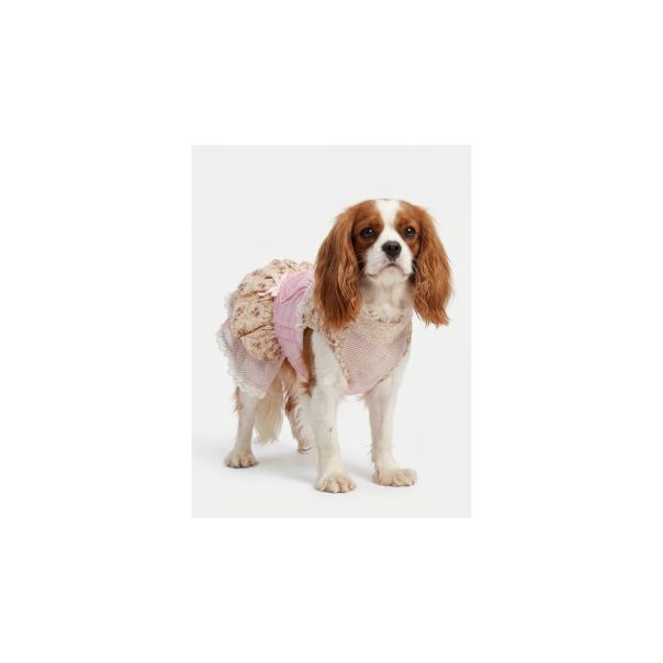 DOGGYDOLLY HALJINICA za pse, 000199, velicina 35-40 cm - EP3305387