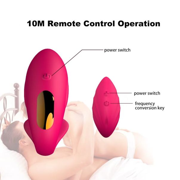 Parni vibrator sa daljinskim (MELO) ROZE - EP3135313
