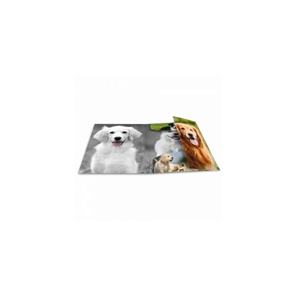 HERMA Fascikla PP sa gumicom - Dogs, 240 x 320 x 15 mm - 04CF7139