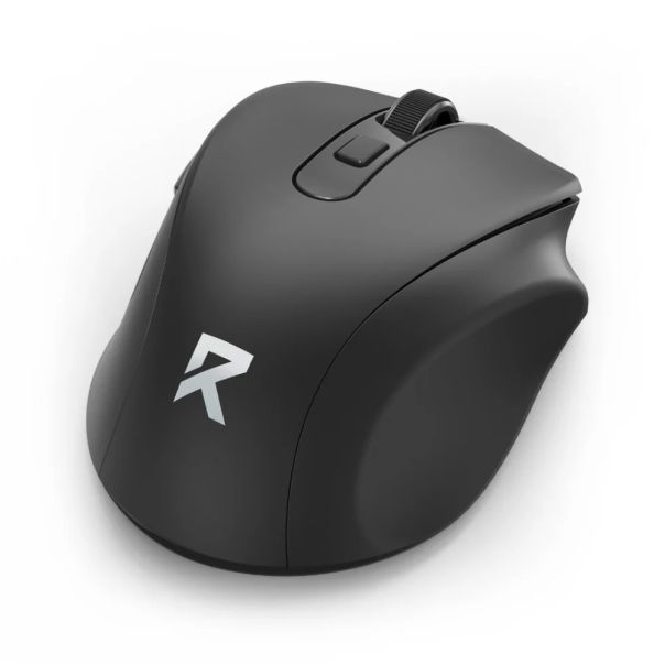 WorkPoint Curve Mouse (BM-4092) - EP3170313