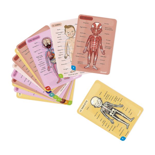 JANOD Edukativni set Bodymagnet na 12 jezika - J05491