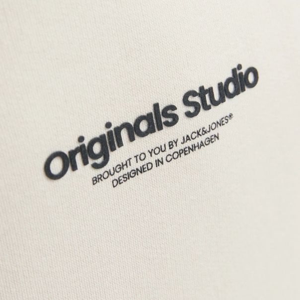 Duks sa kapuljačom za dečake Studio, bež - 12242469X