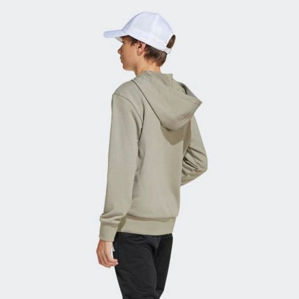 ADIDAS Duks sa kapuljačom essentials hoodie kids BP - JC9673