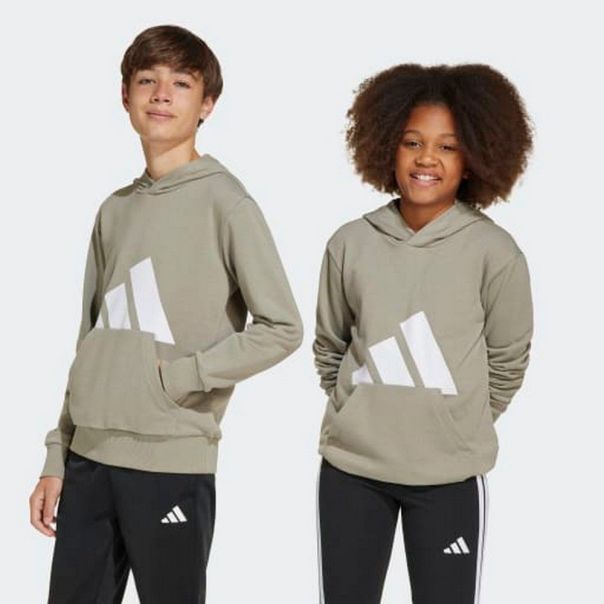 ADIDAS Duks sa kapuljačom essentials hoodie kids BP - JC9673