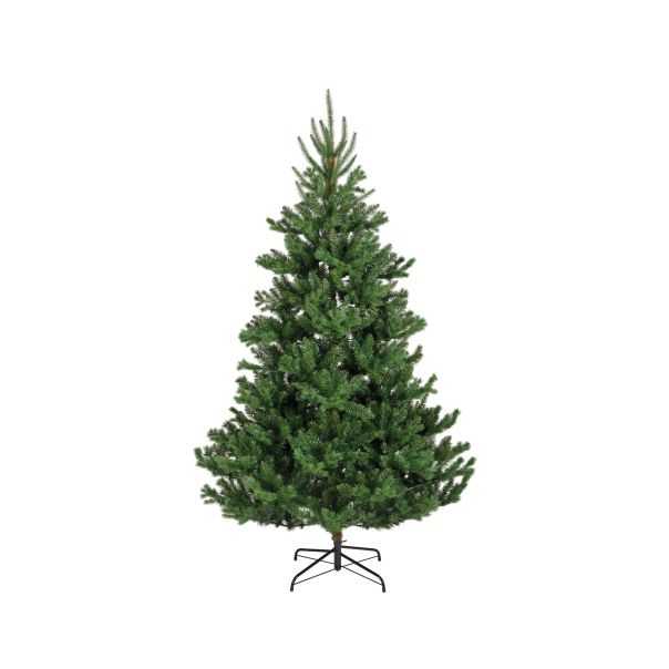EVERLANDS Novogodišnja jelka Alba, 210cm - KA684466