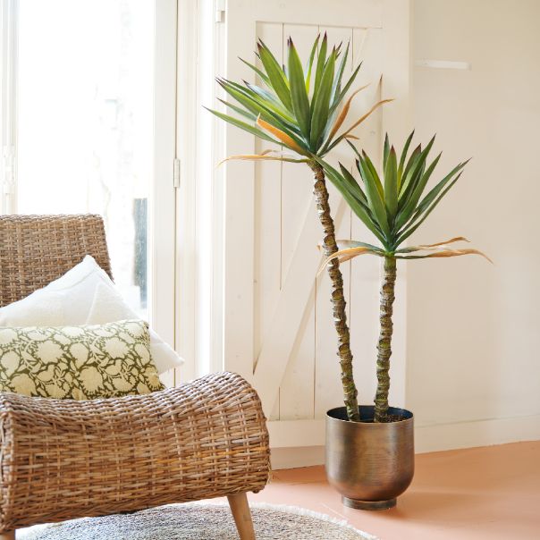 Ukrasna veštačka biljka Sisal u saksiji, 125cm - KA808466
