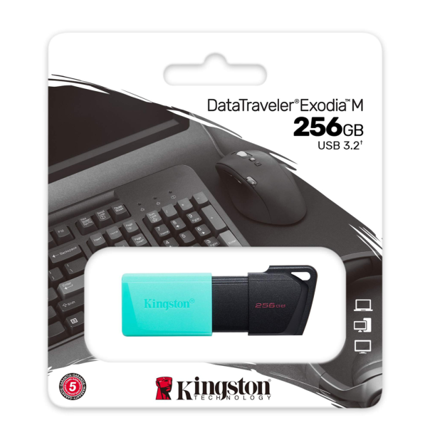 KINGSTON Usb memorija DTXM/256GB - 0001265478
