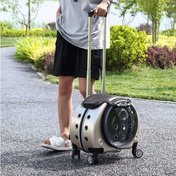 BOLZZ Kofer za transport kućnih ljubimaca premium gold - BOLPETKOPRE3