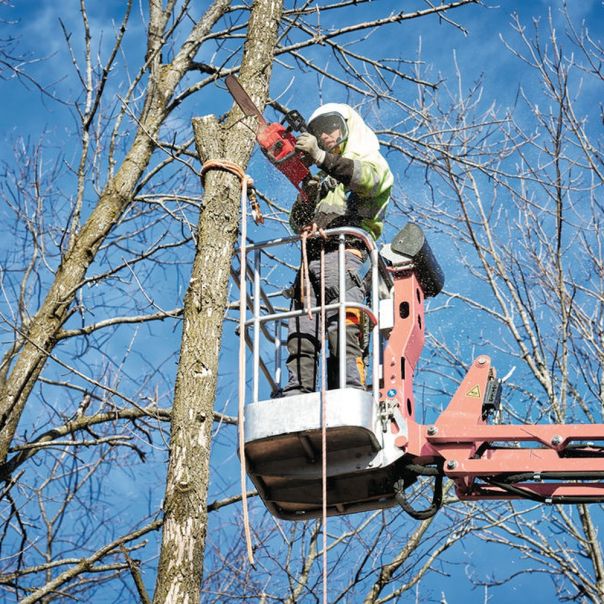 MILWAUKEE Aku. lančana testera 18V 12Ah - M18FCHS-121B - 4933464223