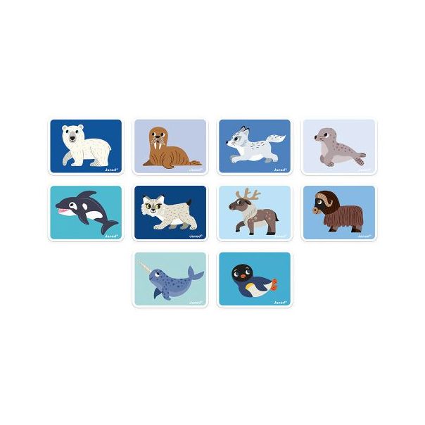 JANOD Kutija sa magnetima Magnetibook polarne životinje - J02599