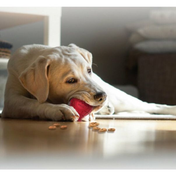 GIGWI Igračka za psa Sijalica od gume M - G8489