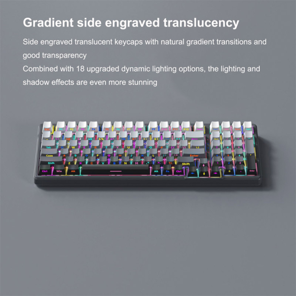 mehanička zicna tastatura ZIFRIEND ZT99 sivo crna (sivi switch) - 614211