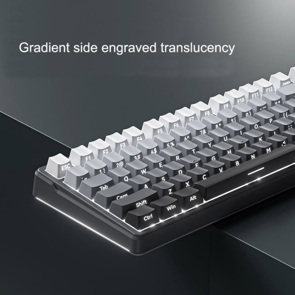 mehanička zicna tastatura ZIFRIEND ZT99 sivo crna (sivi switch) - 614211