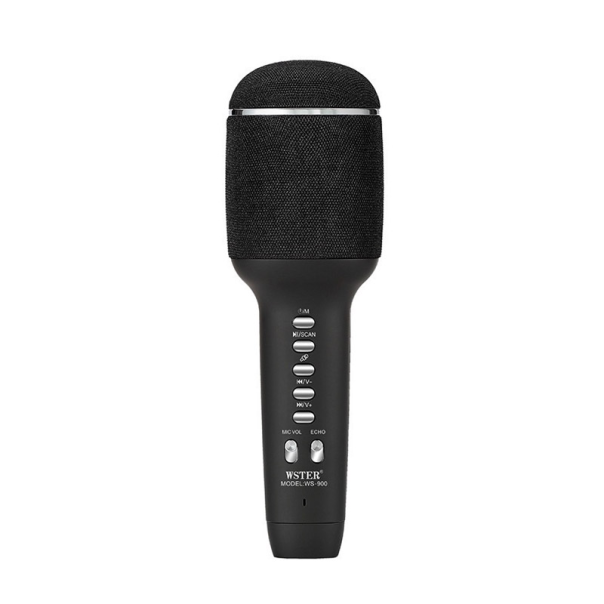 Mikrofon karaoke + zvučnik WS-900 crni - 605958