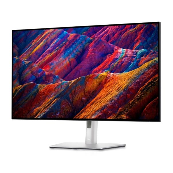 DELL Monitor 31.5