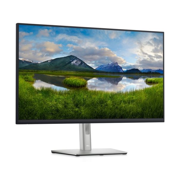 DELL Monitor 31.5