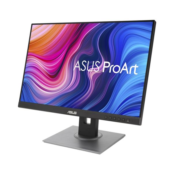 ASUS ProArt Display PA248QV - MON02345