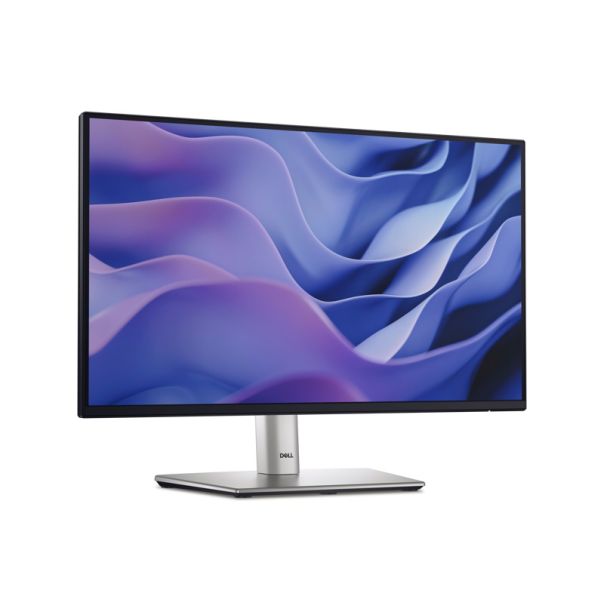 DELL Monitor 21.5 inch P2225H 100Hz Professional IPS monitor - MON02994