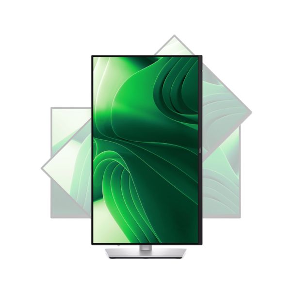 DELL 23.8 inch P2425D QHD 100Hz Pro Plus IPS monitor - MON03161