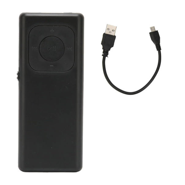 MP3 Player 301 32GB crni - 607352