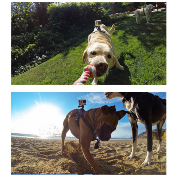 Nosac kucni ljubimac za akcione kamere crni - 207951