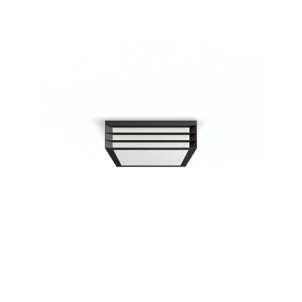 PHILIPS Spoljasnja plafonska lampa Moonshine  2x60W E27 antracit - 19885-1-1