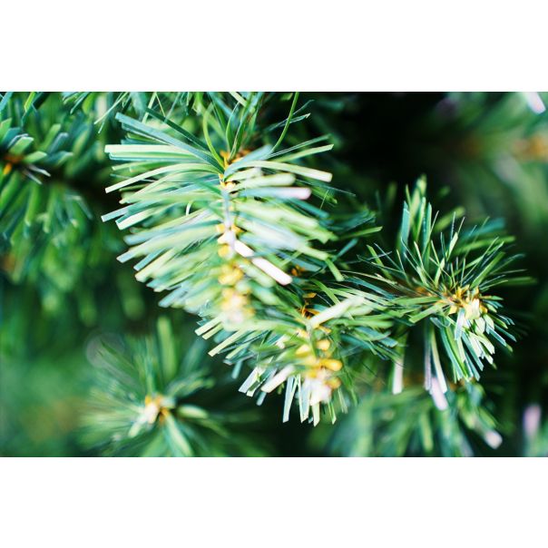 eHomeXmas Novogodišnja jelka 180 cm - automatsko otvaranje grana - PTH60-518