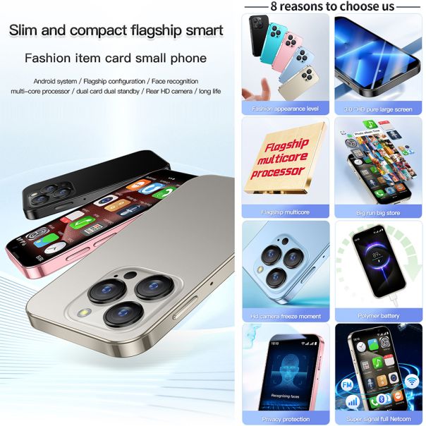 Mobilni telefon XS18 PRO, siva - R2291