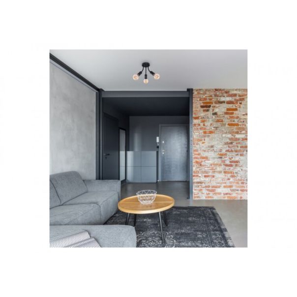 Rabalux Plafonjera Almus E27 3x MAX 60W crna (6808) - 6808