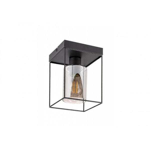 Rabalux Plafonjera Chadwick E27 1x MAX 25W crna (71031) - 71031