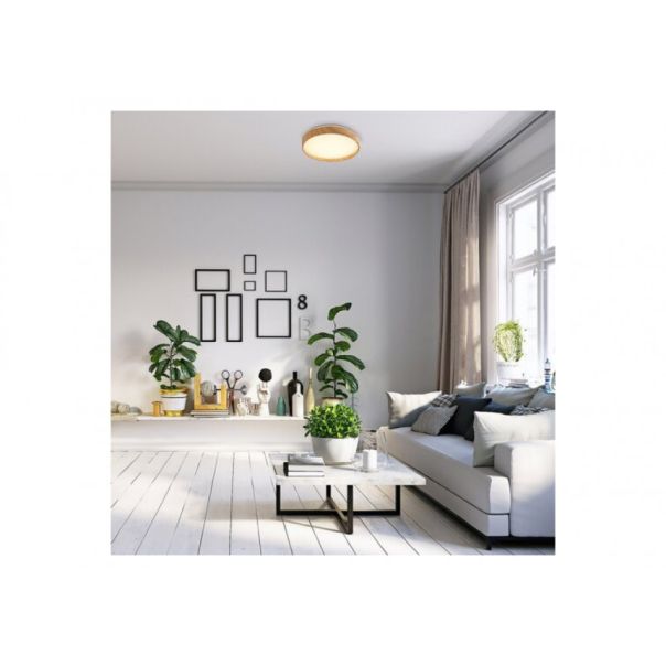 Rabalux Plafonjera Leana2 LED 12W bukva (71143) - RAS002733A00000