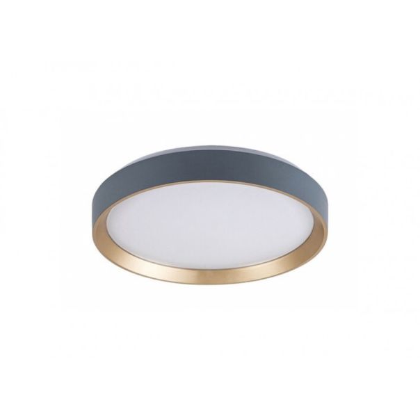 Rabalux Plafonjera Liatris2 LED 24W sivo (71185) - RAS002741A00000