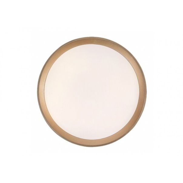 Rabalux Plafonjera Liatris2 LED 24W sivo (71185) - RAS002741A00000