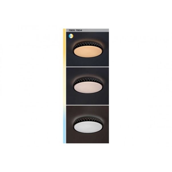 Rabalux Plafonjera Malin LED 48W crno sivo (71304) - RAS003114A00000