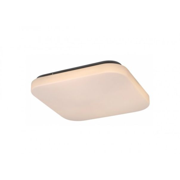 Rabalux Plafonjera Rob LED 20W bela (3340) - 3340