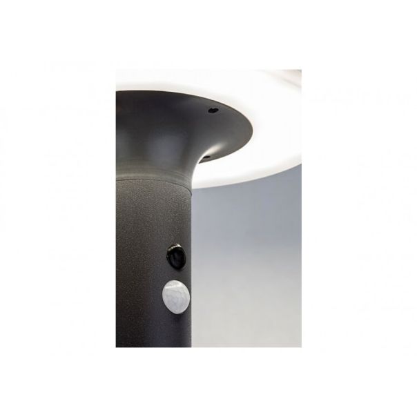 Rabalux Solarna rasveta Alaska LED 10W antracit siva (77017) - 77017