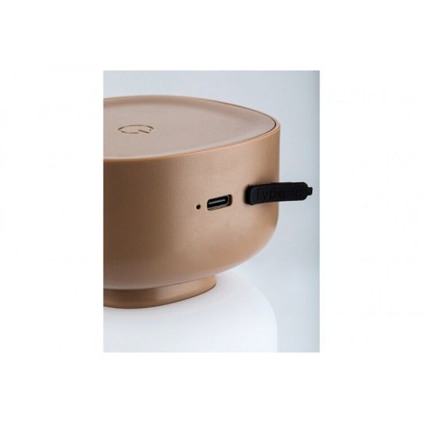 Rabalux Spoljna dekorativna rasveta Funes LED 3W braon (77143) - RAS003054A00000