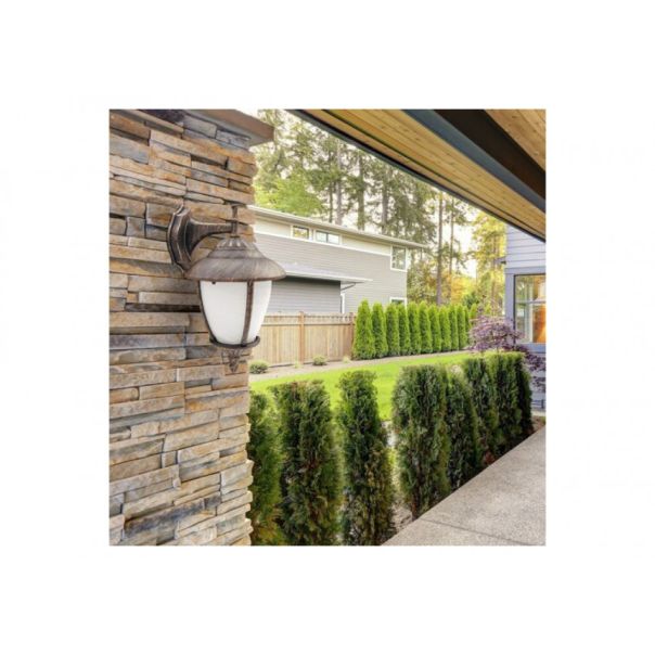 Rabalux Spoljna zidna rasveta Madrid E27 1x MAX 60W antično zlato (8476) - 8476