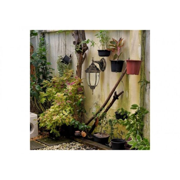 Rabalux Spoljna zidna rasveta Nizza E27 1x MAX 60W antično zlato (8451) - 8451-1