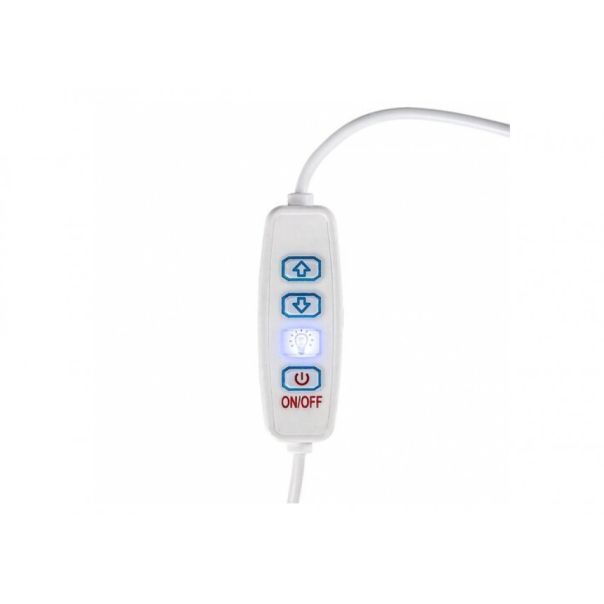 Rabalux Stona lampa Pirit LED 12W bukva (76003) - 76003