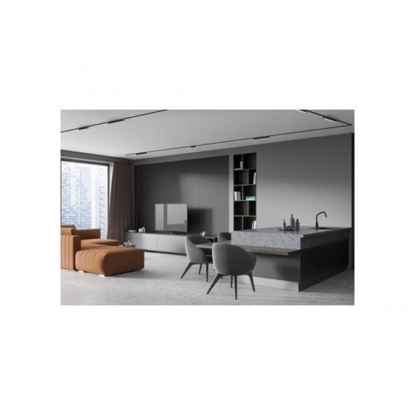 Rabalux Svetiljke na šinama LiTrack Line03V LED 4W crna (70122) - RAS002998A00000