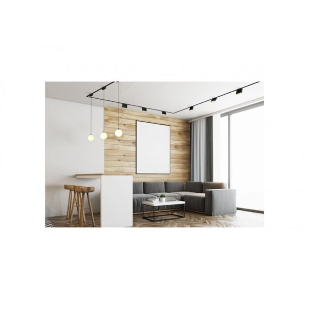 Rabalux Svetiljke na šinama LiTrack Line16W LED 16W crna (70107) - RAS002983A00000