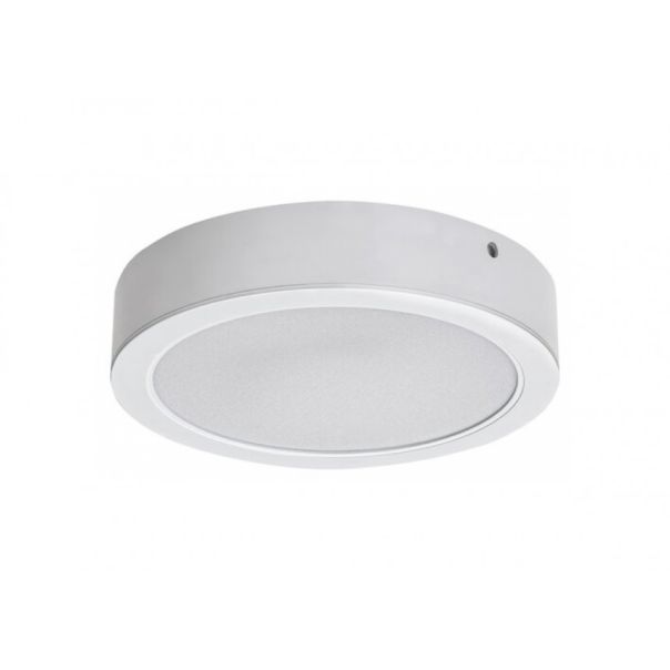 Rabalux Ugradna i nadgradna rasveta Shaun2 LED 24W bela (71194) - RAS002551A00000
